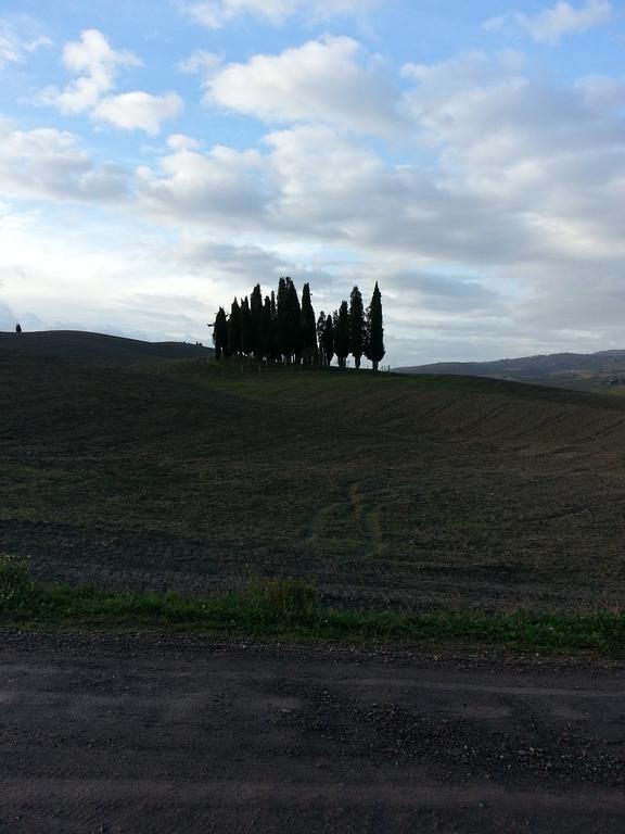 Appartement Passaggio In Val D' Orcia à Torrenieri Extérieur photo